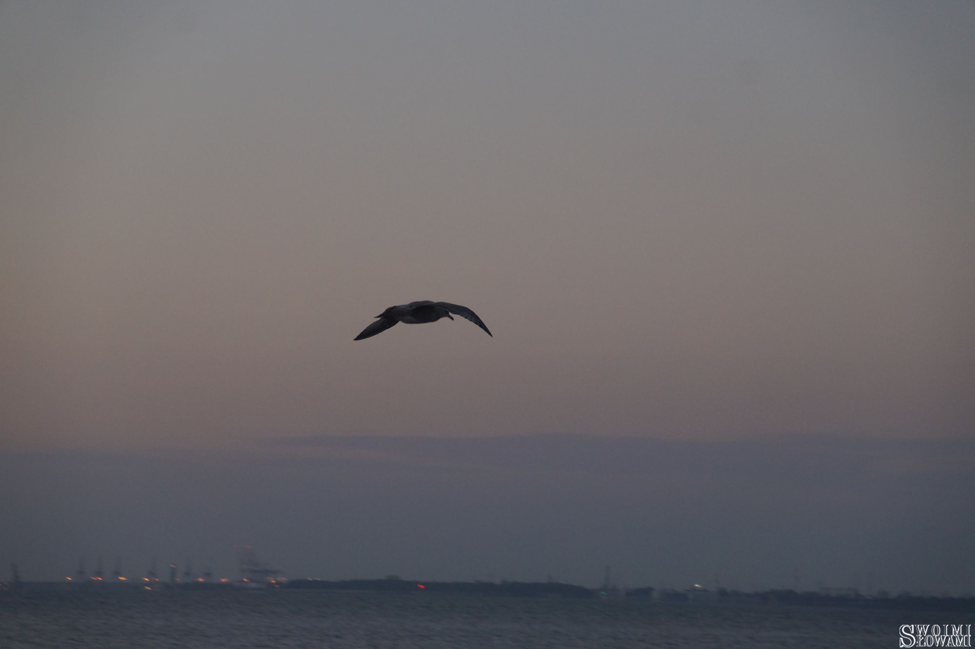 Sopot 46.jpg